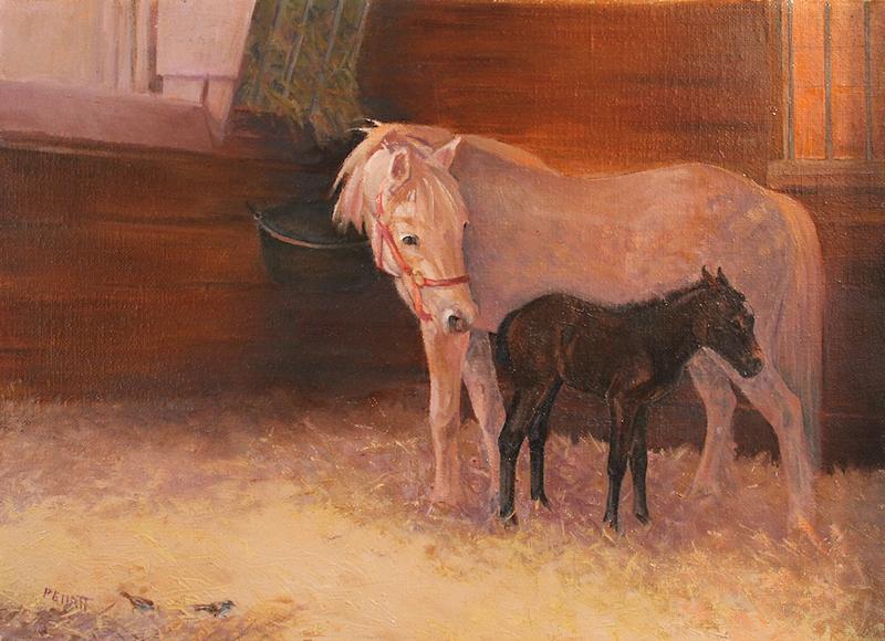 Pony Foal's Second Day